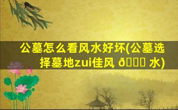 公墓怎么看风水好坏(公墓选择墓地zui
佳风 🐘 水)